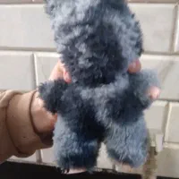 عروسک لبوبو|اسباب‌بازی بچه|پاکدشت, پاکدشت (مامازند)|دیوار