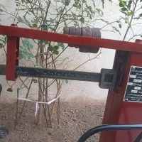 باسکول قدیمی|کلکسیون اشیاء عتیقه|قم, شاه ابراهیم|دیوار