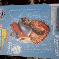 کتاب کمک درسی کنکوری|کتاب و مجله آموزشی|یاسوج, |دیوار