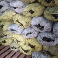 فروش عمده زغال کبابی و قلیونی درج یک