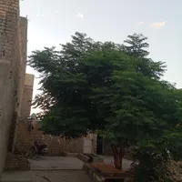 زمین چهار دیواری