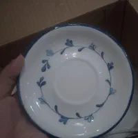 هنری|ظروف سرو و پذیرایی|رضوانشهر, |دیوار