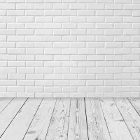 رنگ سفید/بدون کثیف کاری/چسبدار/فوم قابل شستشو|مصالح و تجهیزات ساختمان|رشت, کوی حسینی|دیوار