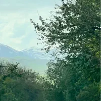 تجاری خیابان جعفری / ۵۴ متر در سه طبقه