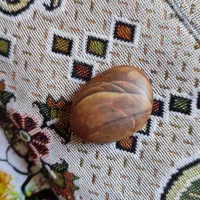 سنگ قدیمی عطیقه|کلکسیون اشیاء عتیقه|زرند, |دیوار