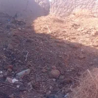 کود گوسفندی