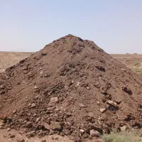 بار گوسفندی ۲۰ ساله