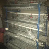 قفس بلدرچین