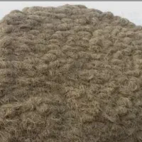 علوفه یونچه