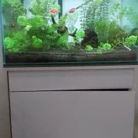 آکواریوم شیشه ۱۰ میل با کلیه لوازم حرفه ای