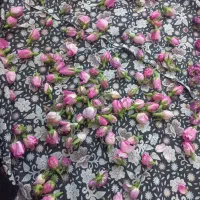 گل محمدی خشک شده