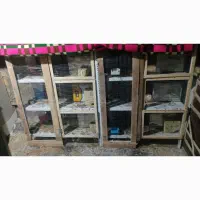قفس جفتی و کفتر|پرنده|شیراز, شهرک مخابرات|دیوار