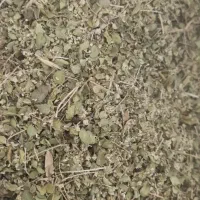 آویشن برگ پهن