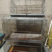 قفس غلامی سینی فلزی