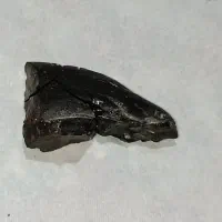 شهاب سنگ|جواهرات|شوسف, |دیوار