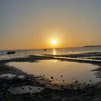 از تهران غروب ب نرخ اتوبوس