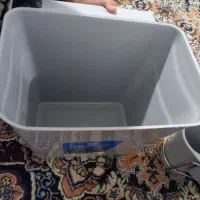 همگی باهم