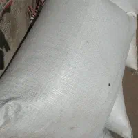 فروش گندم اردبیل دیم