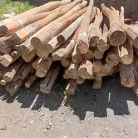 خرید و فروش چوب