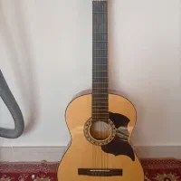 گیتار گودمن