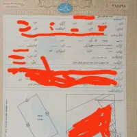 زمین-سند-ترک-برگ-ملکی