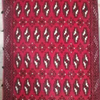 دو جفت پشتی