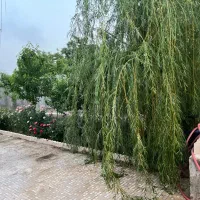 ۲طبقه ویلایی دربست /شمالی/مجد/سندششدانگ|فروش خانه و ویلا|مشهد, سناباد|دیوار