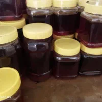 عسل وحشی