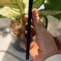 آیفون ۱۳ نرمال|موبایل|اهواز, نادری|دیوار