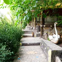 نگهبان تمام وقت