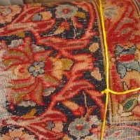 قالی کرمانی دسته دوم|فرش|رفسنجان, |دیوار