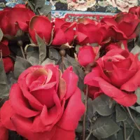 هشت شاخه گل رز خارجی|گل مصنوعی|تهران, فلاح|دیوار