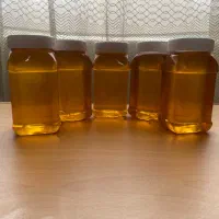 عسل طبیعی ارگانیک با برگه آزمایشگاه|خوردنی و آشامیدنی|قوچان, |دیوار