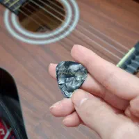 گیتار پارسی M2