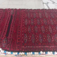 بالا ُاپنی