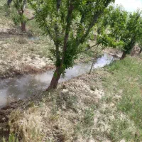 باغچه نقد یا تهاتر با اپارتمان و خودرو