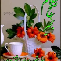 باغبانی،باغچه بانی،گل،گیاه نهال