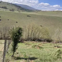 ۱۵۰۰ متر رمین