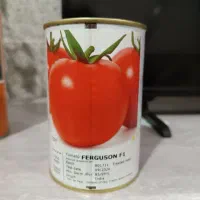 بذر گوجه فرنگی فرگوسن و مالکو قیمت 6000000