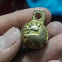 قر سگ شیروخورشید اصل