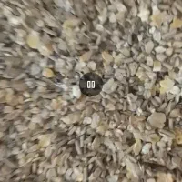 خوراک شهدانه سوپر پرواراجیلی نیمه ازاد