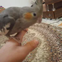 1600