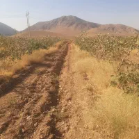خانه  و باغ در روستا|فروش خانه و ویلا|شیراز, دباغ خانه|دیوار