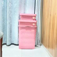 سبدرخت لیمون
