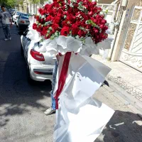 رز هلندی به قیمت گلخونه ۳۵ تومن