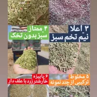 خرید و فروش کاه گندم جو و گندم یونجه ذرت خار|عمدهفروشی|مشهد, آبکوه|دیوار