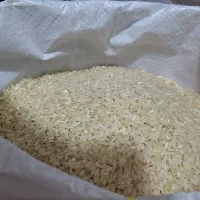 برنج و نیم دانه کامفیروزی درجه یک|خوردنی و آشامیدنی|شیراز, قلعه شاهزاده بیگم|دیوار