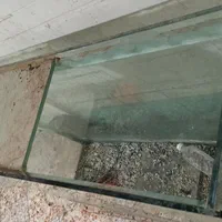 آکواریوم|ماهی|اهواز, کمپلو جنوبی|دیوار