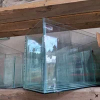 تولیدی آکواریوم زیر قیمت|ماهی|مشهد, شهید آوینی|دیوار