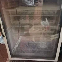 دستگاه جوجه کشی مرغ ،بلدرچین وبوقلمون